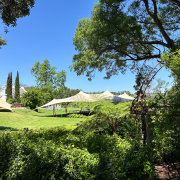 Vagabond Stretch Tents