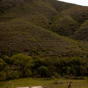 Vagabond Stretch Tents