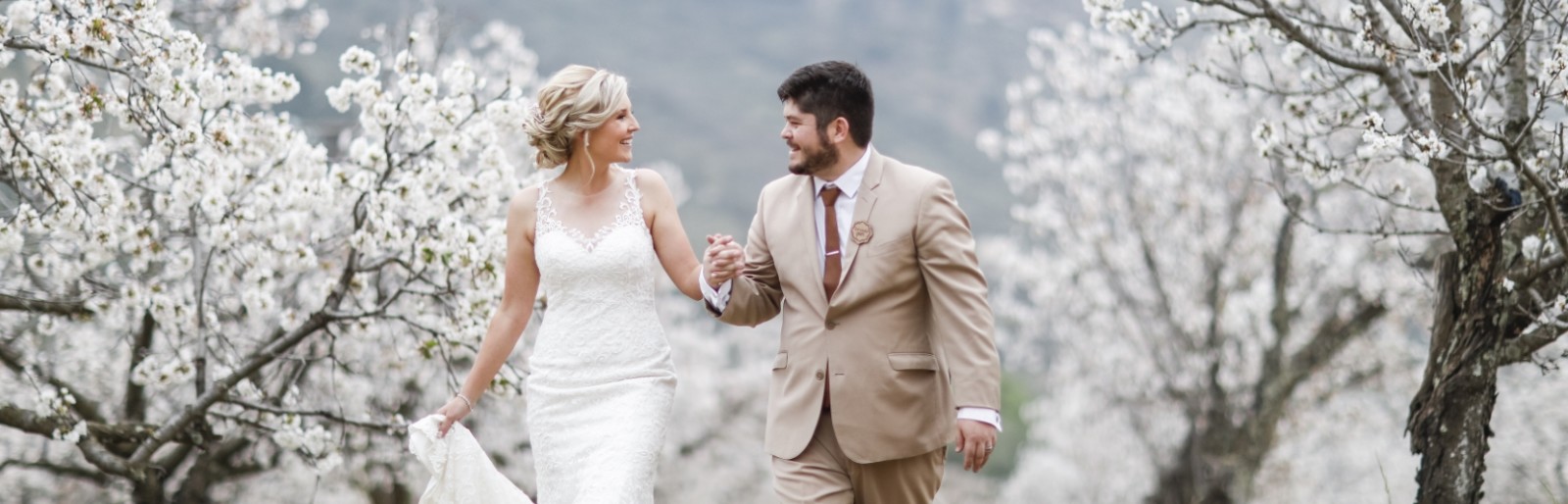 Welgelegen Cherry Estate