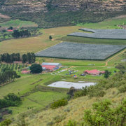 Welgelegen Cherry Estate