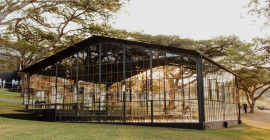 Whispering Thorns Whispering Thorns