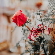 Two Balloons Weddings & Events