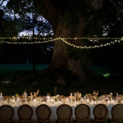 Strawberry Weddings and Events