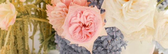 Sarah Jesson & Karim Jaouadi