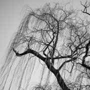 Melandrie Stoltz & Kobus Stoltz 34